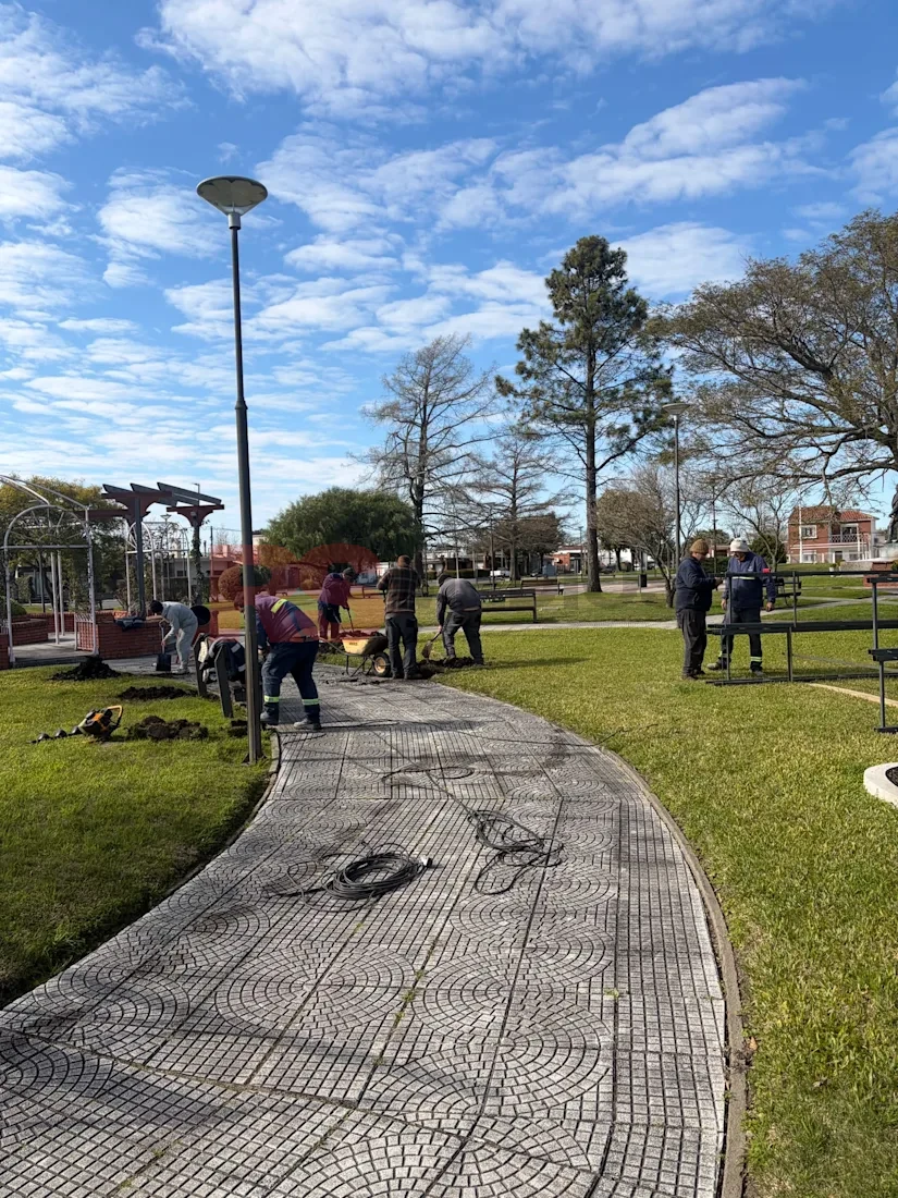 Cardona renueva la Plaza Artigas con 50 rosales y nuevas estructuras para un paseo floral — imagen 2