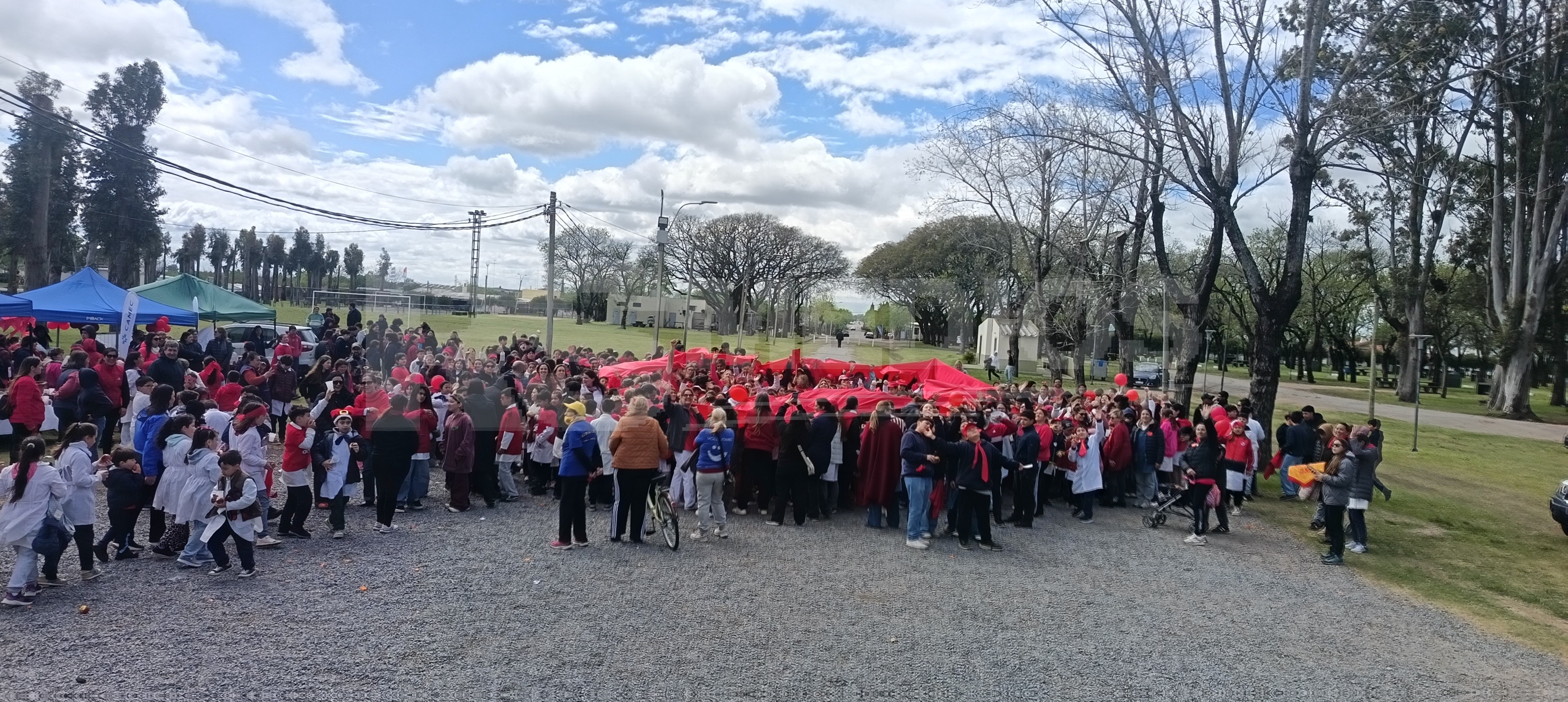 Caminata por el Día Internacional del Corazón en Cardona — imagen 3