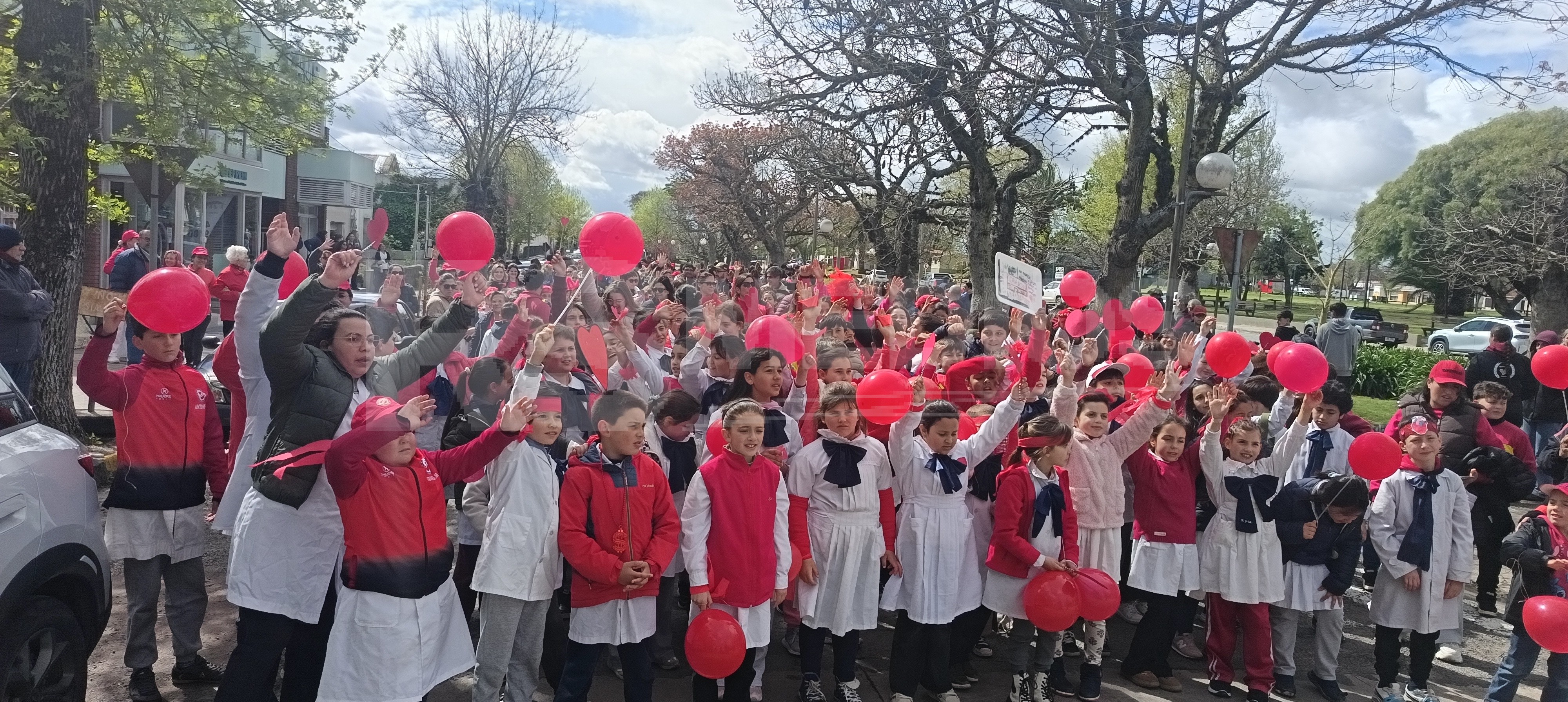 Caminata por el Día Internacional del Corazón en Cardona — imagen 9