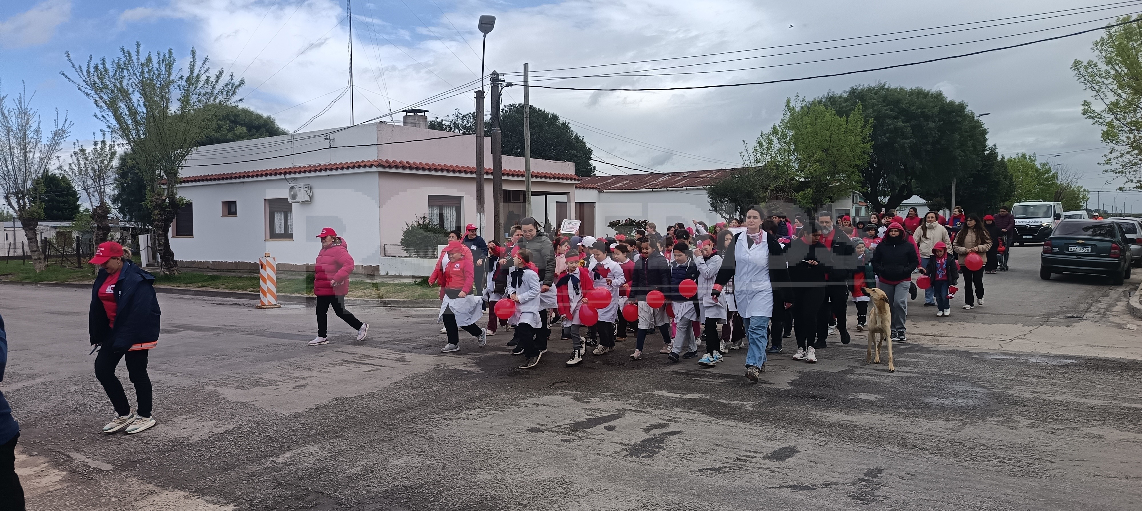 Caminata por el Día Internacional del Corazón en Cardona — imagen 11