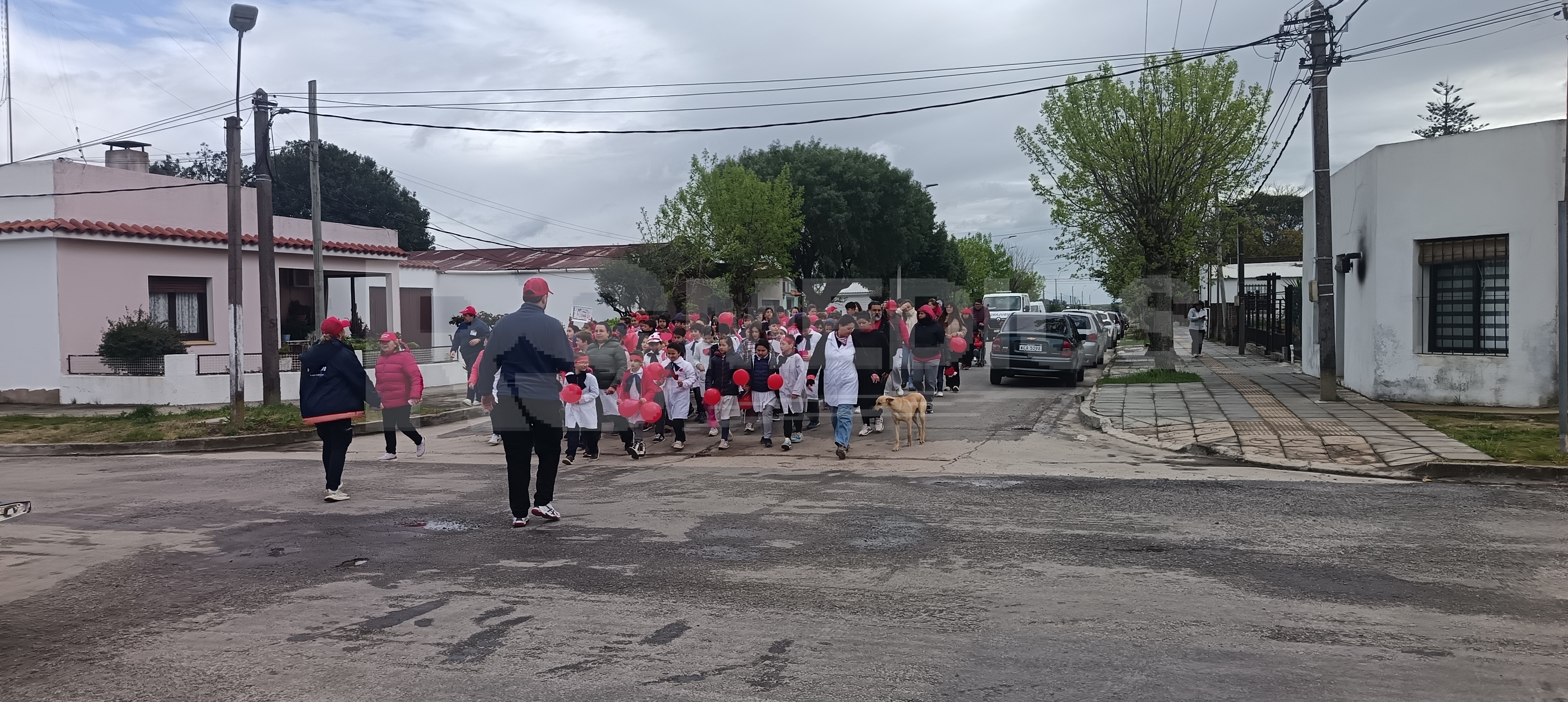 Caminata por el Día Internacional del Corazón en Cardona — imagen 12