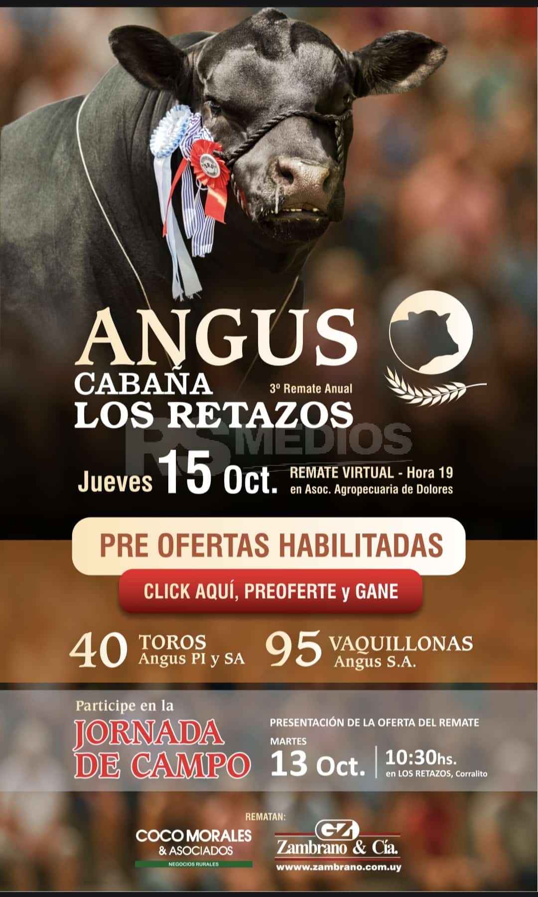 Remate virtual de Angus de Cabaña Los Retasos en la Rural de Dolores