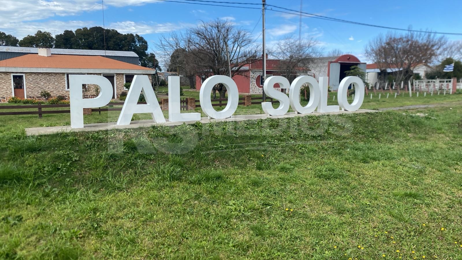 Mantenimiento y jardinería en los espacios públicos de Palo Solo