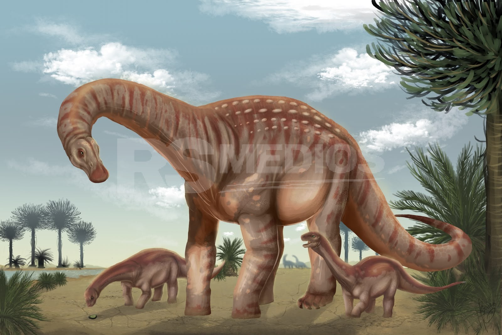 Conferencia sobre dinosaurios y fósiles en la Escuela Taller Manuel Lobo