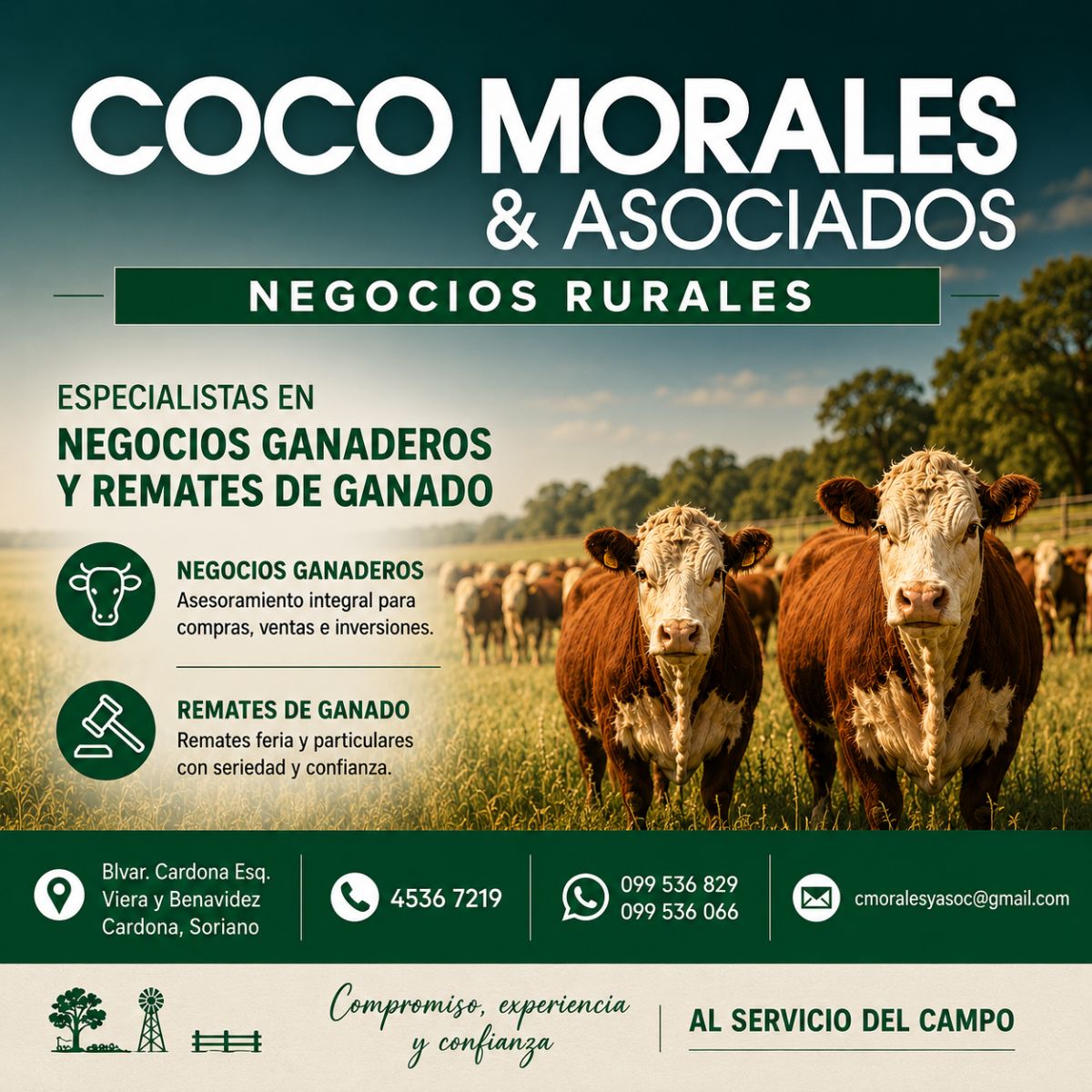 Publicidad de COCO MORALES - Institucional